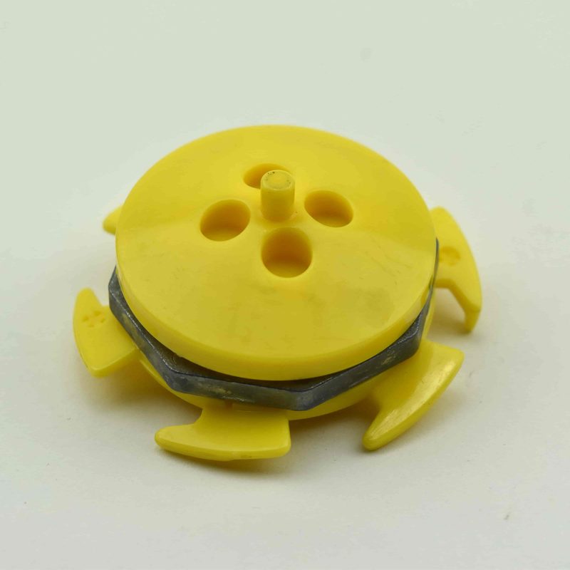 15 Yellow Bakushin-Oh, bottom view