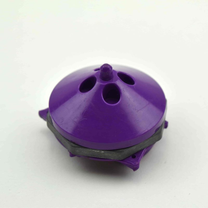 2 Purple Saizo, bottom view