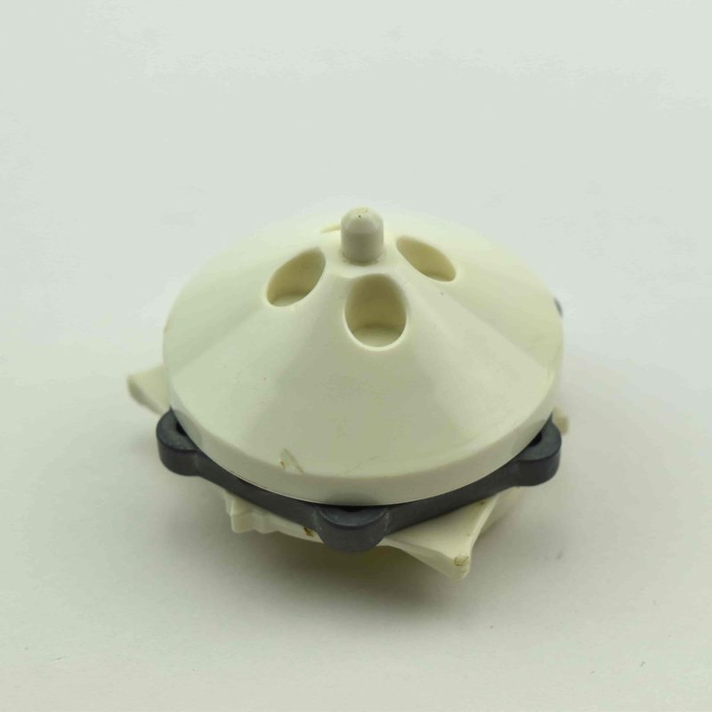 2 White Saizo, bottom view